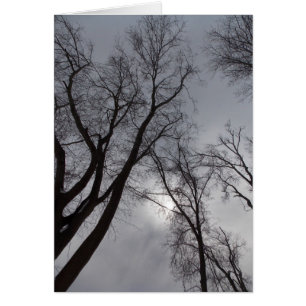 Cartão Solidão do inverno