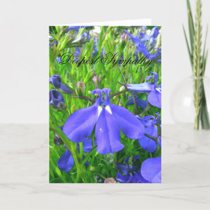 Cartão Solidariedade 