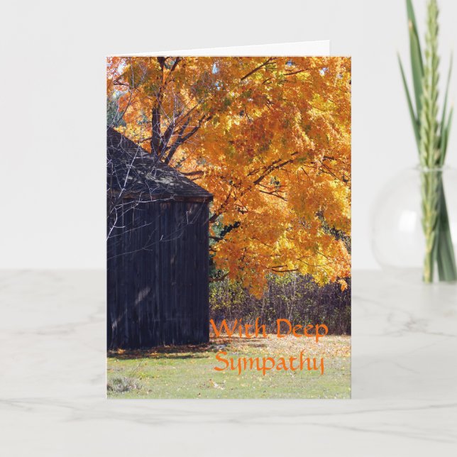 Cartão Solidariedade  (Frente)