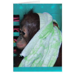 Cartão Solitário Baby Orangutan