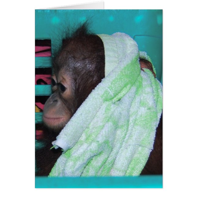 Cartão Solitário Baby Orangutan (Frente)