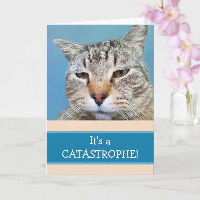 Cartão Solitário Cat Personalizado Mentira Você (Orquídea)