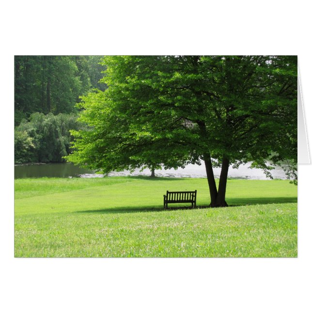 Cartão Solitude (Frente horizontal)