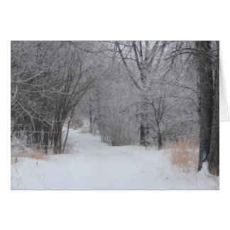 Cartão Solitude do inverno