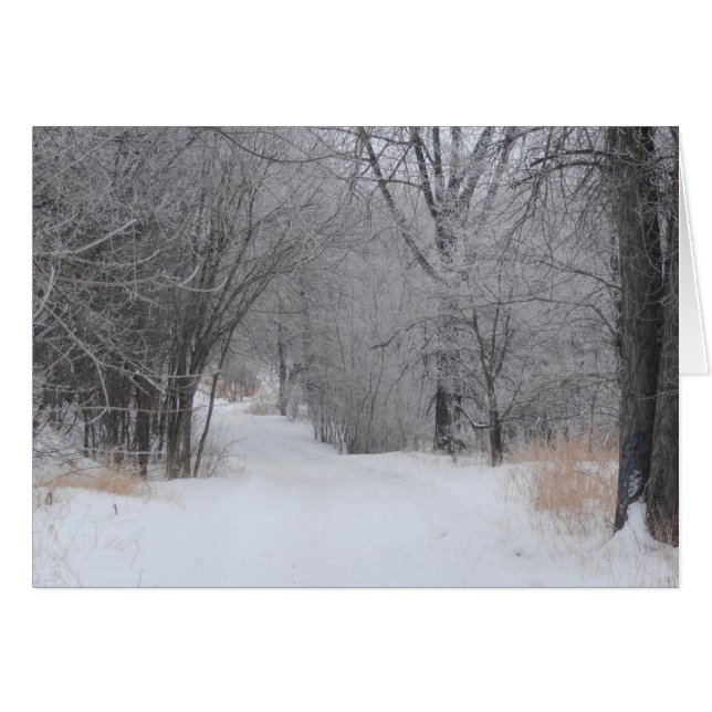 Cartão Solitude do inverno (Frente Horizontal)