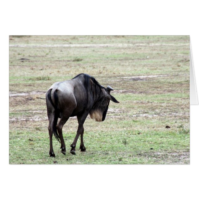 Cartão solo de gnus (Frente Horizontal)