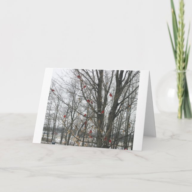 Cartão Solstice Card (Frente)