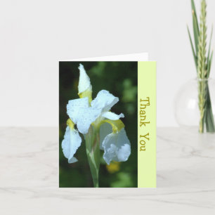 CARTÃO SOLTEIRO BRANCO IRIS COM RAINDROPS