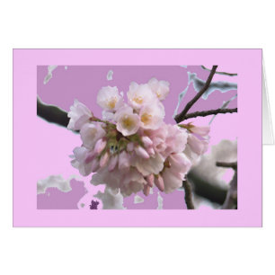 Cartão Solteiro Cherry Blossom
