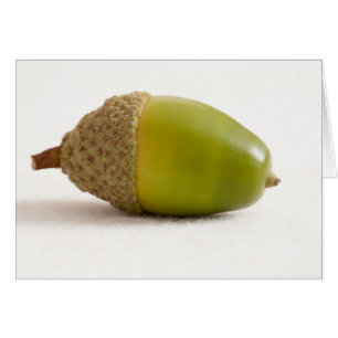 Cartão Solteiro de acordo com o topo