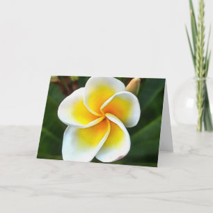 Cartão Solteiro Frangipani Blossom Realismo Arte