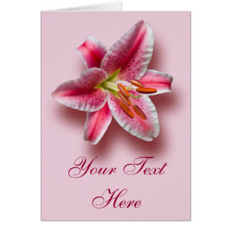 Cartão Solteiro rosa Stargazer Lily