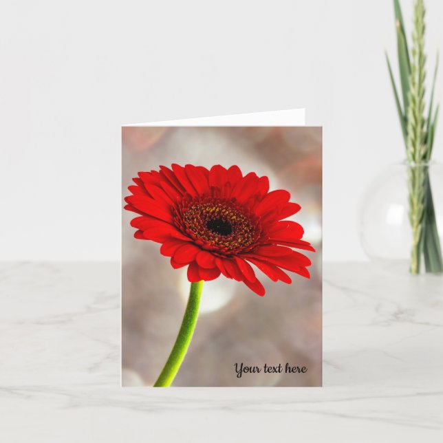 Cartão Solteiro Vermelho Gerbera Folheto (Frente)