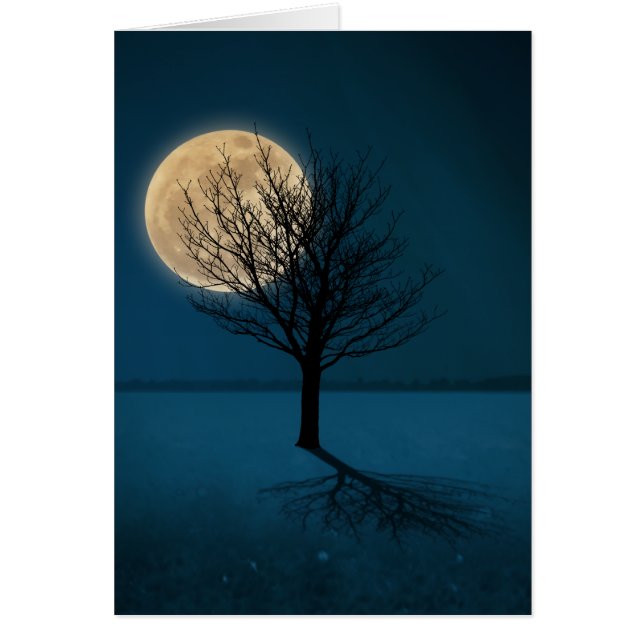 Cartão Sombra (Frente)