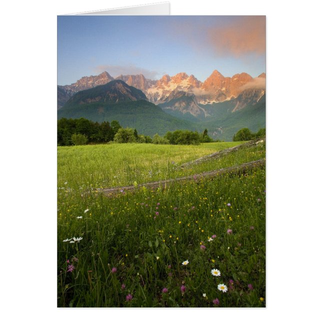 Cartão Sombra da Eslovênia (Frente)