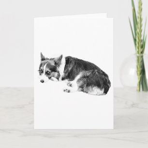 Cartão Sombra de Corgi, Desejos Afetuosos