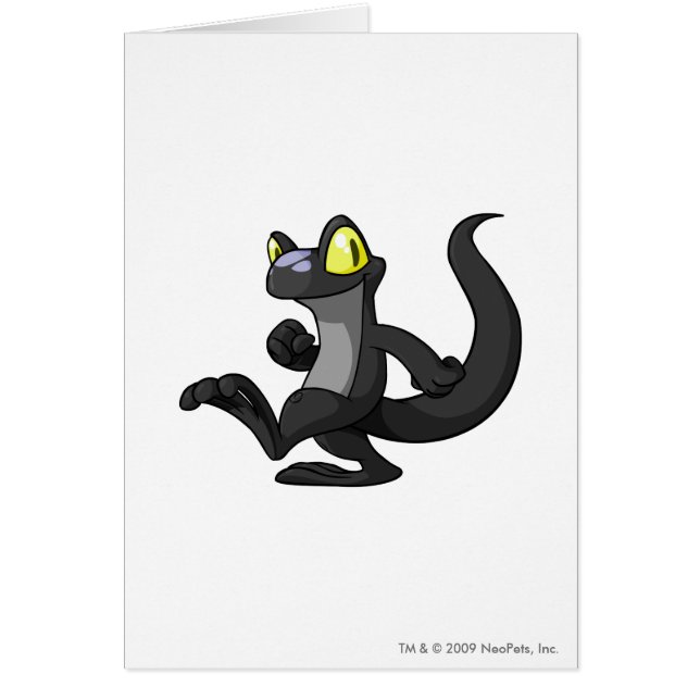 Cartão Sombra de Techo (Frente)