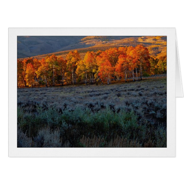 Cartão "Sombra do Verão Superior" (Frente horizontal)