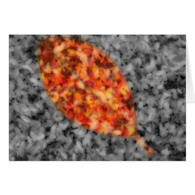 Cartão Sombras Brilhante (Frente Horizontal)