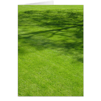 Cartão Sombras de Dublin