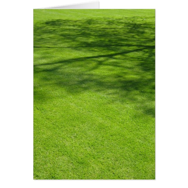 Cartão Sombras de Dublin (Frente)