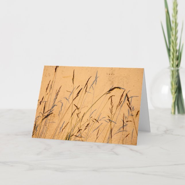 Cartão Sombras de Verão (Frente)