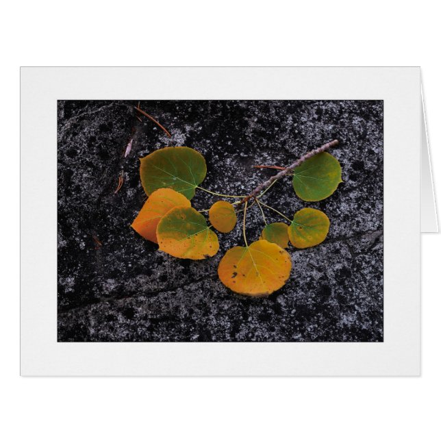 Cartão "Sombras Do Outono" (Frente horizontal)