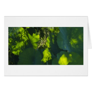 Cartão Sombras e luz