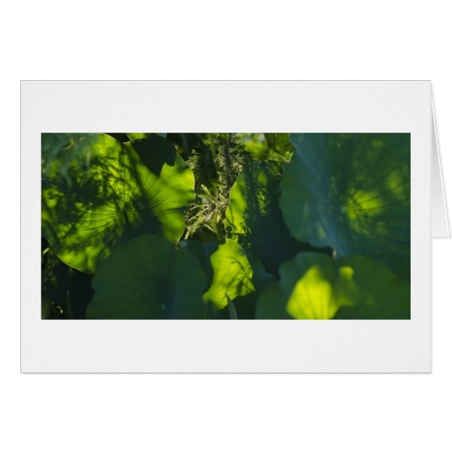 Cartão Sombras e luz (Frente Horizontal)