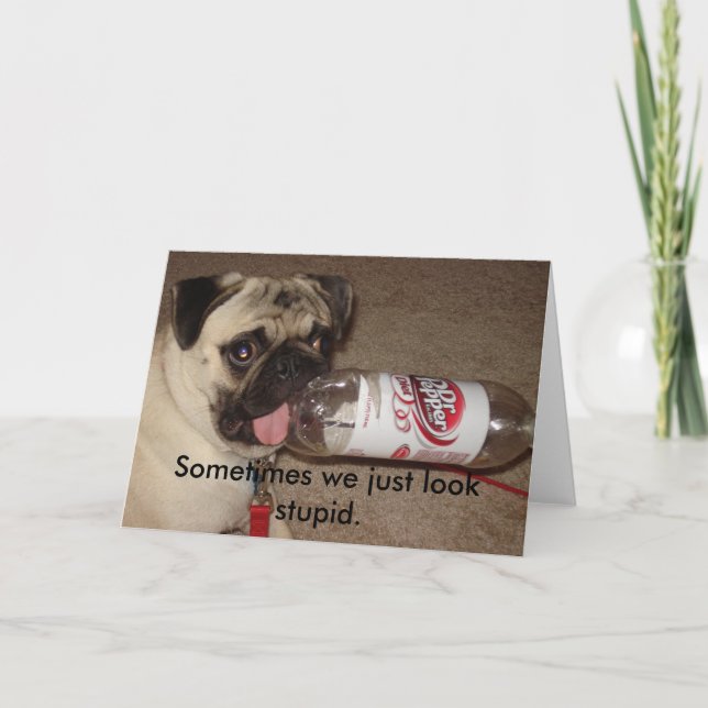 Cartão Sometimes we just look stupid greeting card (Frente)