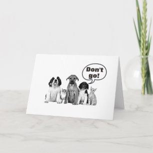 CARTÃO "SOMOS TÃO DESCULPADOS" SAIR / SOMOS SENTIDOS A SU