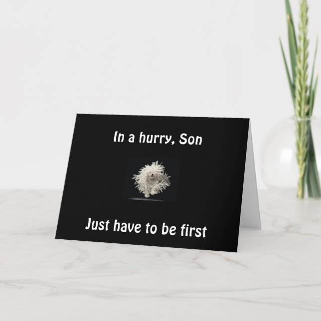 CARTÃO SON-1ST TO SAY CONGRATS GRAD (Frente)
