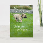 Cartão Son, 50th Birthday Puppy Running<br><div class="desc">For a son who is afraid to get older, bring him a lovely smile as you give this cute and funny card. It shows a puppy running so fast through the grass to get rid of the years to catch him. This is a perfect way to give your wishes for...</div>