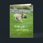Cartão Son, 50th Birthday Puppy Running<br><div class="desc">For a son who is afraid to get older, bring him a lovely smile as you give this cute and funny card. It shows a puppy running so fast through the grass to get rid of the years to catch him. This is a perfect way to give your wishes for...</div>
