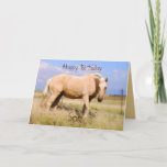 Cartão Son Happy Birthday Palomino Horse Card<br><div class="desc">Um belo cavalo de palomino fica em uma pastagem enroscada pelo vento. Outra vista do cavalo está na parte de trás do cartão.</div>