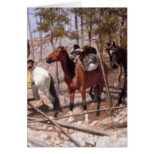 Cartão Sondagem para a escala de gado