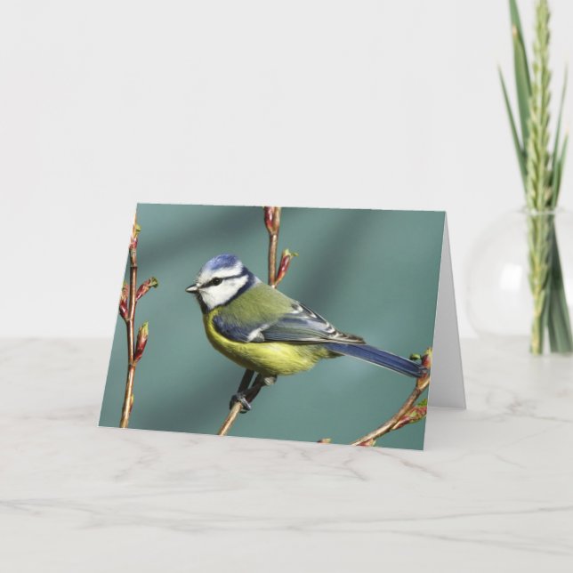 Cartão Song Bird (Frente)