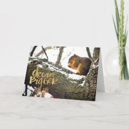 Cartão Sonhe maior que o Esquilo da Vida