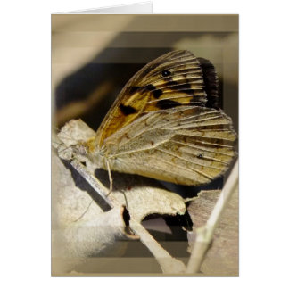 Cartão Sonho com borboletas