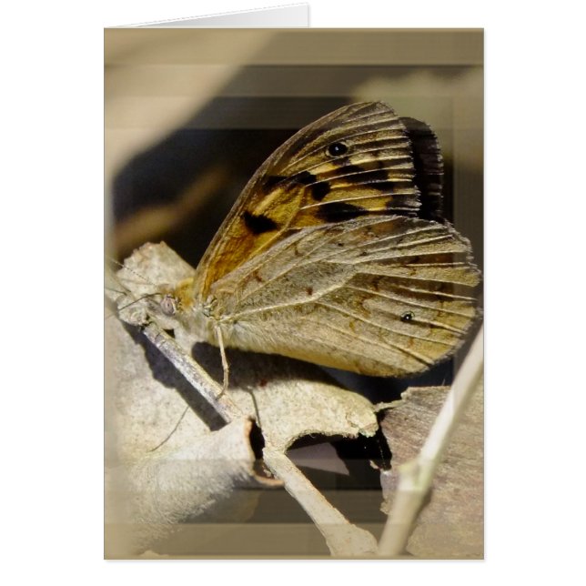 Cartão Sonho com borboletas (Frente)