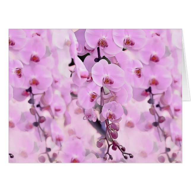 Cartão sonho da orquídea (Frente horizontal)