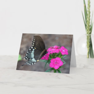 Cartão Sonho de borboleta