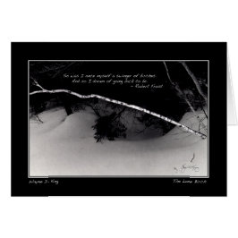 Cartão Sonho de Nascimento da Frost