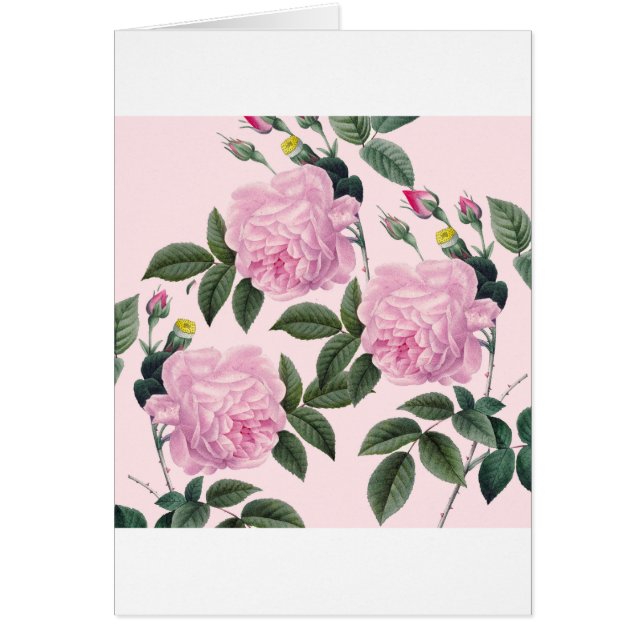 Cartão Sonho do vintage do rosa de rosas (Frente)