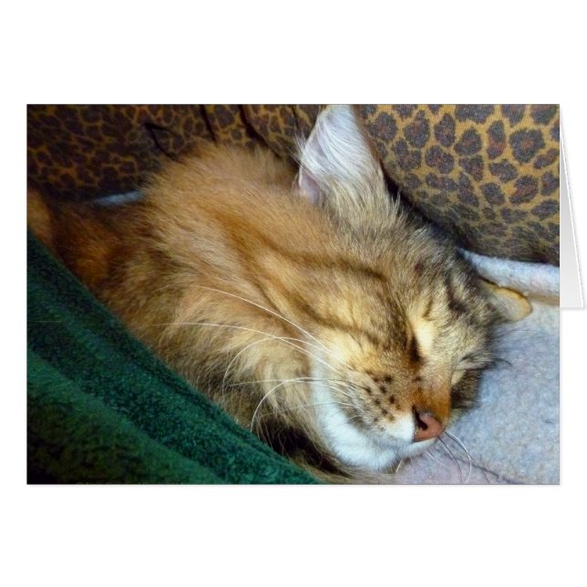 Cartão Sonho doce (Frente Horizontal)