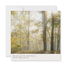 Sonho e suave estética da natureza da floresta, sa