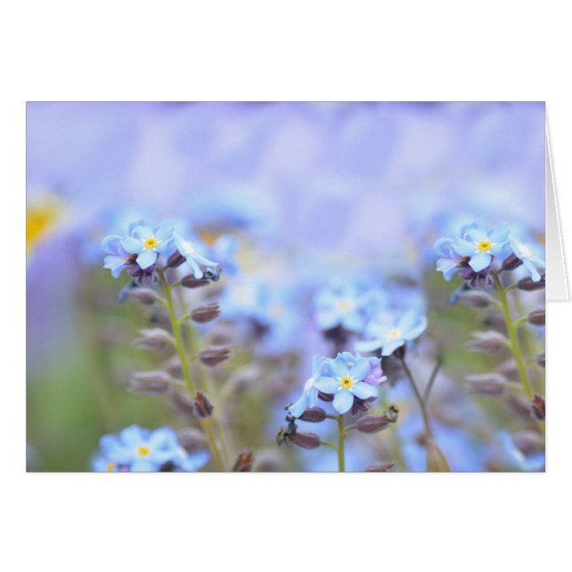 Cartão Sonho em Azul (Frente Horizontal)