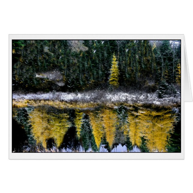 Cartão Sonhos de um Jovem Tamarack (Frente Horizontal)