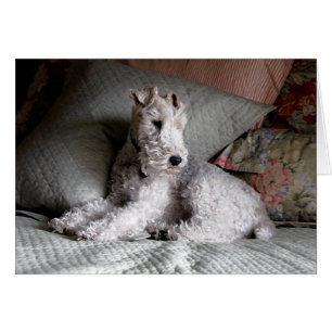 Cartão sonhos doces