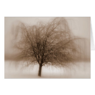 Cartão Sonhos Místicos